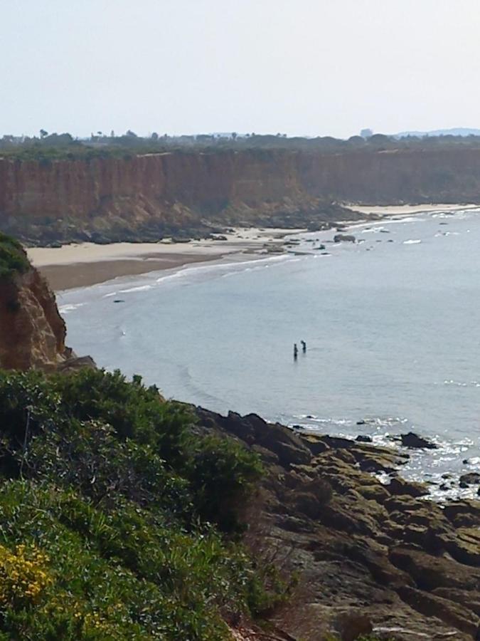 Mirador De Trafalgar Conil Conil De La Frontera Εξωτερικό φωτογραφία